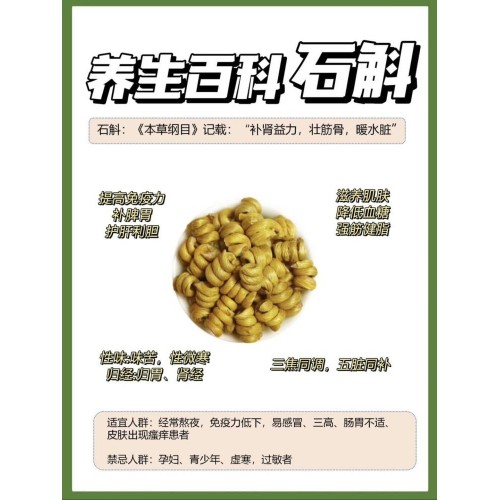 Bear.hh铁皮石斛粉320g*3罐