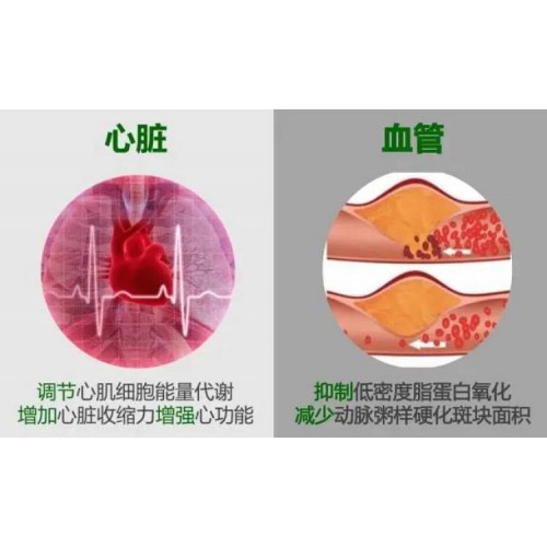 Webber Naturals辅酶Q10软胶囊60粒