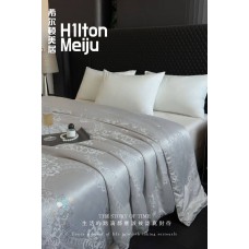 希尔顿美居「丝享好眠」‮金黄‬桑蚕丝夏凉被 （冷月灰）