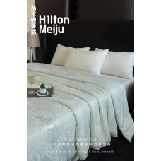 希尔顿美居「丝享好眠」‮金黄‬桑蚕丝夏凉被 （冰晴绿）