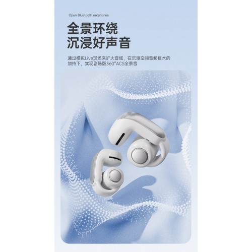 刘宪华bose同款最新款ULTRA蓝牙耳机(银白色）