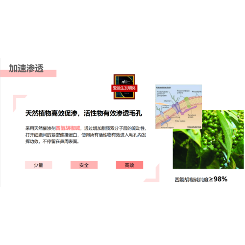 Honey future 净澈鼻贴膜组合