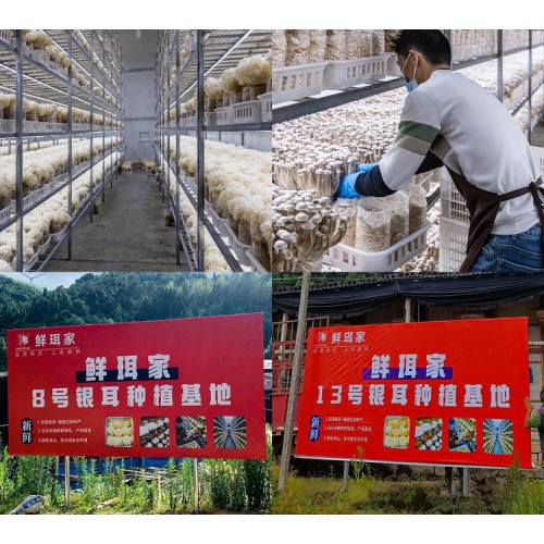 有机富硒本草银耳80g*3罐+红枣伴侣20包+鲜珥家500ml焖烧杯+礼袋