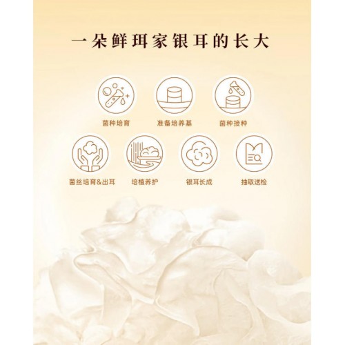 有机富硒本草银耳80g*3罐+红枣伴侣20包+鲜珥家500ml焖烧杯+礼袋