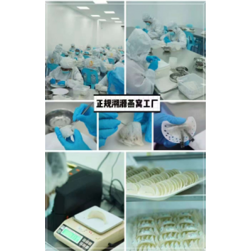 马来西亚原装进口溯源燕窝100g